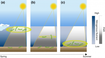 This conceptual models shows what appears to be happening with ||Credit: |High-resolution image