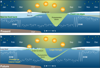 present and future illustrations of phytoplankton blooms