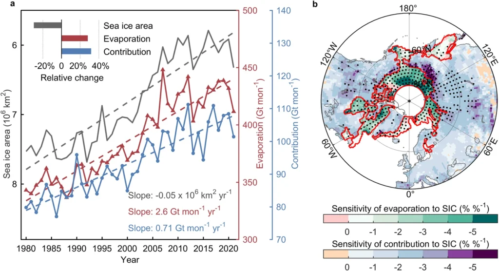 Fig. 1: Changes in AMS sea ice area and AMS moisture and sensitivities of AMS moisture to sea ice concentration. a Time series of AMS sea ice area, AMS evaporation and its contribution to land precipitation over the NH during the 1980–2021 cold season (October–March), and their relative changes with respect to climatological means. b Sensitivity of AMS evaporation or AMS contribution to AMS SIC. Dots indicate significant correlation with r 