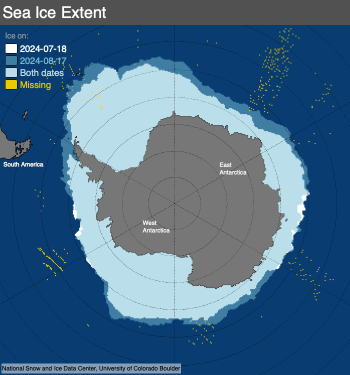 Figure 1b. This map compares Antarctic sea ice extents between July, 18, 2024, in white, and August 17, 2024, in blue, using the NSIDC comparison tool. ||Credit: National Snow and Ice Data Center |High-resolution image