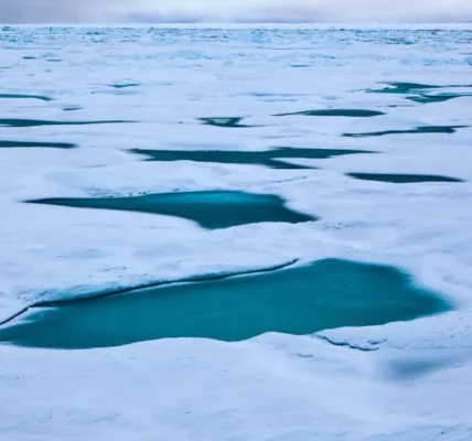 A wind pattern known as the Arctic Dipole helps control how much warm, salty Atlantic Ocean water enters the Arctic Ocean via the Fram Strait (shown) between Greenland and Norway’s Svalbard archipelago. That influx of Atlantic water in turn influences the rate of Arctic sea ice melting. deadlyphoto.com/Alamy Stock Photo