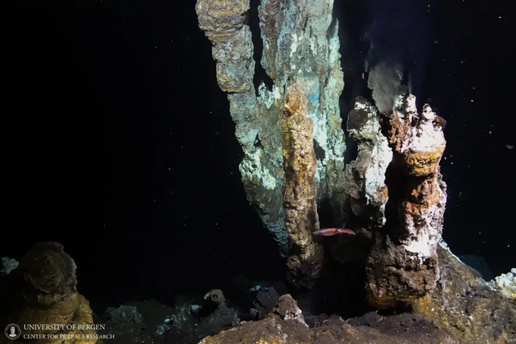 Active venting chimney at the Jan Mayen Vent Fields on the Arctic Mid-Oceanic Ridge. Depth: around 500m deep. Photo: CDeepSea/University of Bergen/ROV Aegir6000. (Any opinions expressed here are solely those of the authors and do not necessarily represent the views of the Centre for Deep Sea Research)