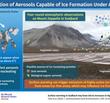 As surface air temperatures rise above 0°C, snow and ice cover melts, resulting in the appearance of snow/ice-free barren and vegetated areas. These newly exposed surfaces release increased amounts of dust and biological organic aerosols, which have the potential to promote ice crystal formation in clouds. Credit: Yutaka Tobo / National Institute of Polar Research, Japan