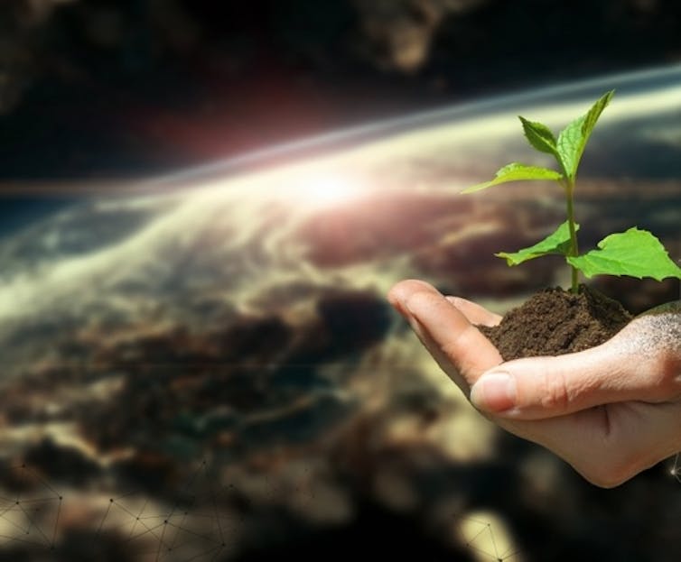 Hand holding a plant beyond the Earth