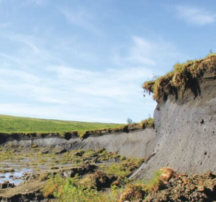 The Peel Plateau in the Northwest Territories, Canada, has experienced abrupt thaw. (Photo by Scott Zolkos, Woodwell Climate Research Center.)