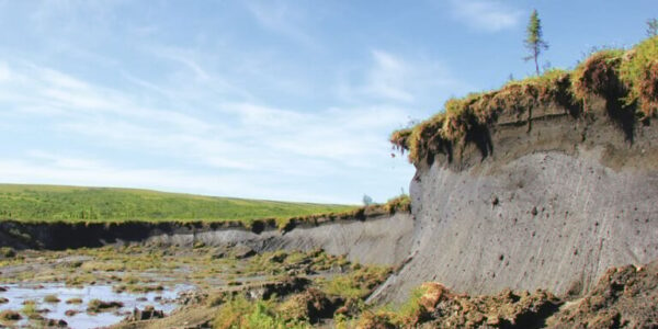 The Peel Plateau in the Northwest Territories, Canada, has experienced abrupt thaw. (Photo by Scott Zolkos, Woodwell Climate Research Center.)