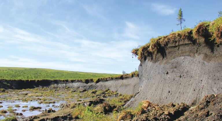 The Peel Plateau in the Northwest Territories, Canada, has experienced abrupt thaw. (Photo by Scott Zolkos, Woodwell Climate Research Center.)