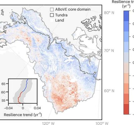 Vegetation resilience pervasively decreased in southern boreal forests while increased in Arctic tundra. Credit: Nature Ecology & Evolution (2024). DOI: 10.1038/s41559-024-02551-0