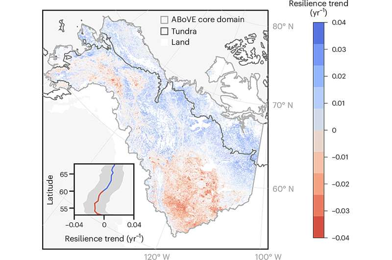 Vegetation resilience pervasively decreased in southern boreal forests while increased in Arctic tundra. Credit: Nature Ecology & Evolution (2024). DOI: 10.1038/s41559-024-02551-0