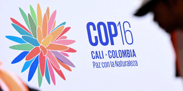 The 2024 United Nations Biodiversity Conference of the Parties to the UN Convention on Biological Diversity (COP16) will be held in Cali, Colombia, from October 21 to November 1, 2024. (Joaquin Sarmiento/AFP via Getty Images)