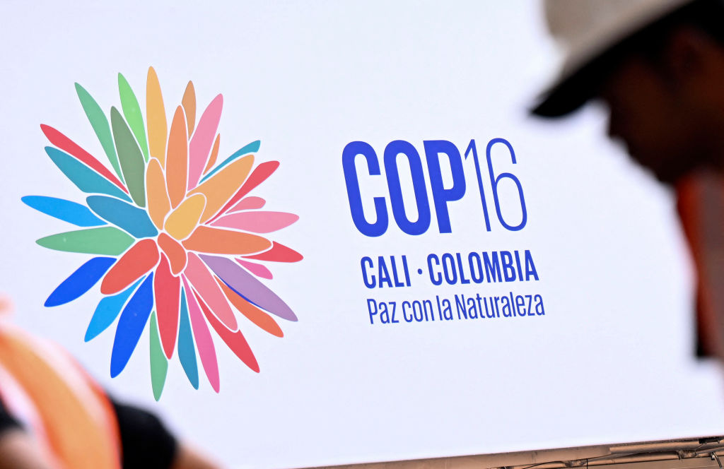 The 2024 United Nations Biodiversity Conference of the Parties to the UN Convention on Biological Diversity (COP16) will be held in Cali, Colombia, from October 21 to November 1, 2024. (Joaquin Sarmiento/AFP via Getty Images)