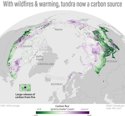 When including the impact of increased wildfire activity, the Arctic tundra region has shifted from storing carbon in the soil to becoming a carbon dioxide source. Circumpolar wildfire emissions have averaged 207 million tons of carbon per year since 2003. The Arctic remains a consistent methane source as well. (Image credit: NOAA)