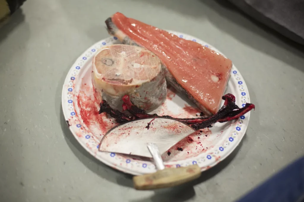 On the menu at an Arctic Bay community feast: raw seal ribs, frozen arctic char and narwhal maktaq. Community feasts are held at the Community Hall, where everyone gathers to collect nutritious country foods donated by hunters. The curved ulu knife is used by women to cut skins and butcher animals and as an eating utensil. Acacia Johnson for NPR