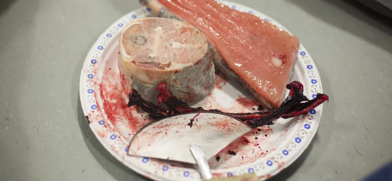 On the menu at an Arctic Bay community feast: raw seal ribs, frozen arctic char and narwhal maktaq. Community feasts are held at the Community Hall, where everyone gathers to collect nutritious country foods donated by hunters. The curved ulu knife is used by women to cut skins and butcher animals and as an eating utensil. Acacia Johnson for NPR