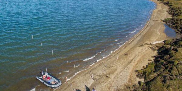 An aerial image of the study site in Kaktovik Lagoon of northern Alaska. Credit: Nathan Sonderman