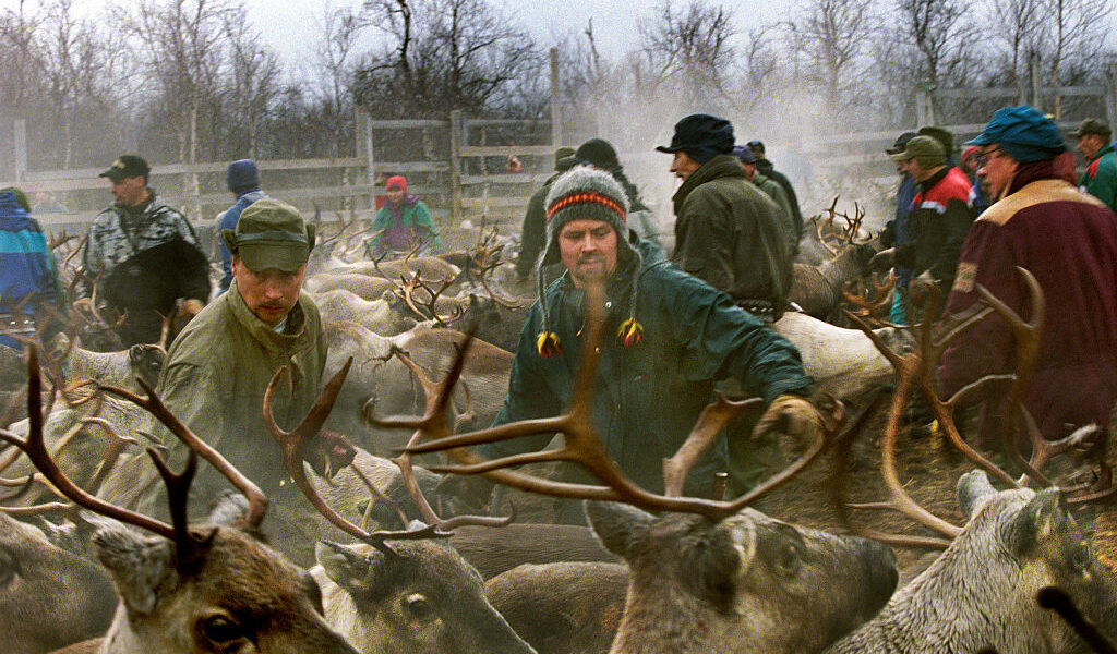 Sámi people herd reindeer in Lapland, Finland. (In Pictures Ltd. / Corbis via Getty Images)