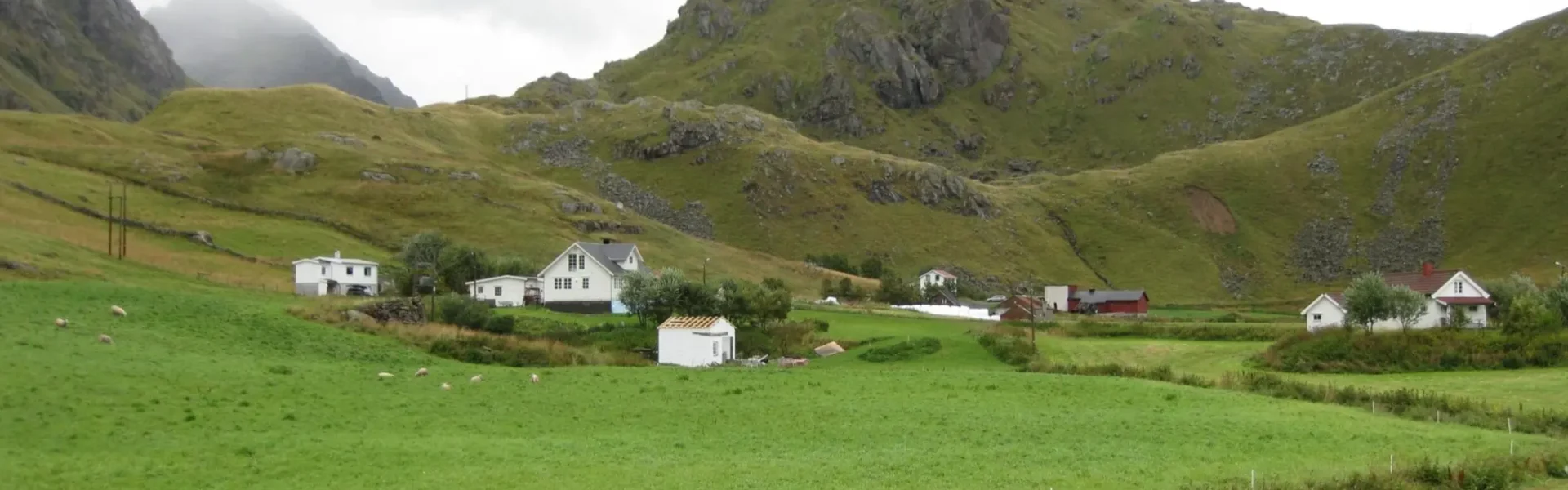 Agricultural land constitutes a vanishingly small portion of the land resources in northern Norway. In Nordland County, agricultural land makes up only 2 percent of the total land area. For the counties of Troms and Finnmark, the proportions are 1.5 percent and 0.3 percent, respectively. Cultural landscapes are being increasingly overgrown due to structural changes, and there is a limited amount of land that can be reclaimed and used for food production. Photo: Finn Arne Haugen / NIBIO