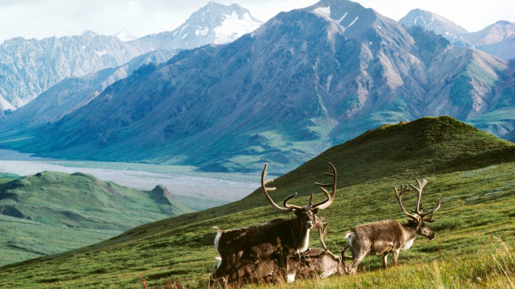 © Art Wolfe via Alaska Conservation Foundation