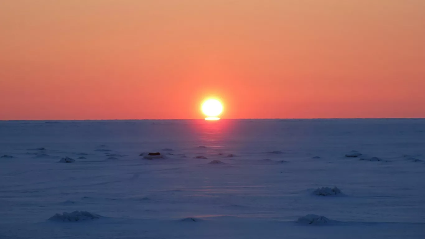 Copyright W Noort/Unsplash