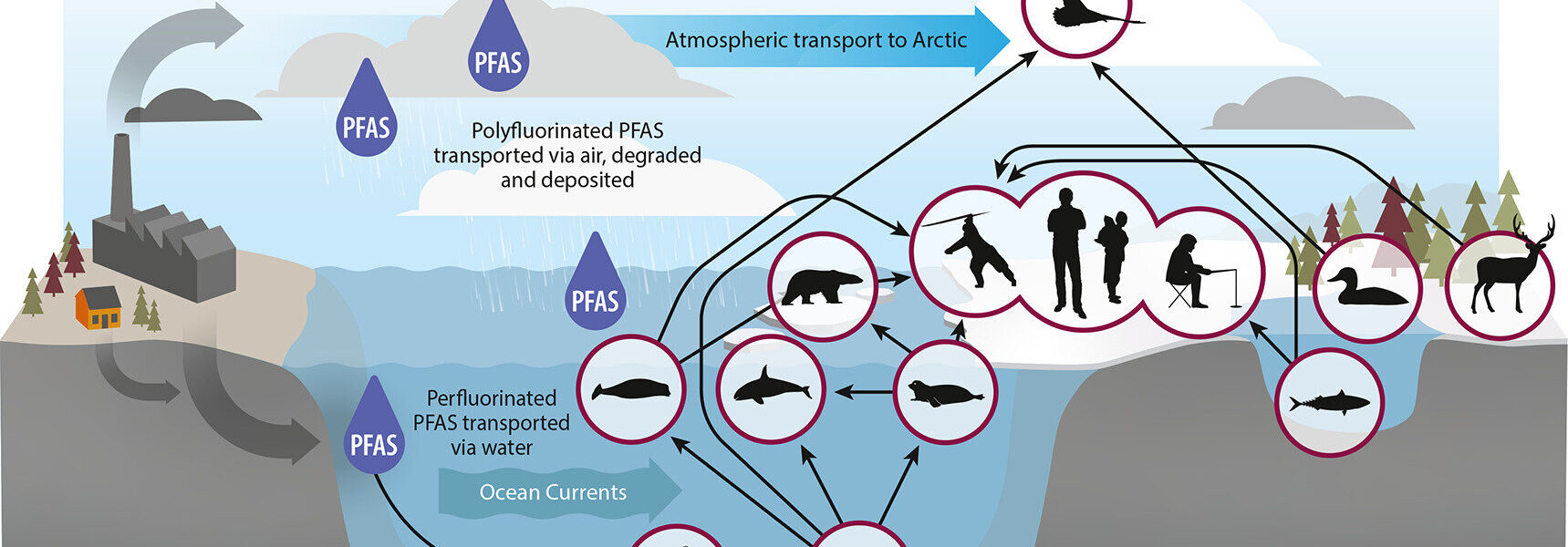 Credit: Science of The Total Environment (2024). DOI: 10.1016/j.scitotenv.2024.176274
