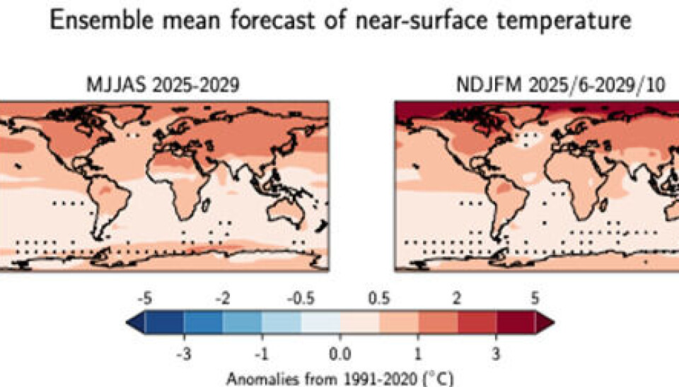 Arctic predicted to warm more than three times faster than global average: WMO report