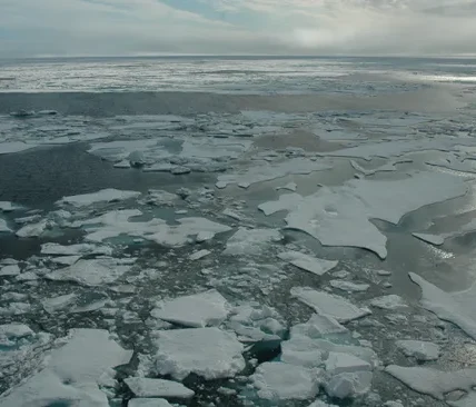 Arctic sea ice responds faster to atmospheric warming than ocean temperatures, according to historical sedimentary records that are based on the amount of cosmic dust on the floor of the Arctic Ocean. (Image credit: Bonnie Light/University of Washington)
