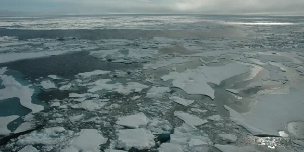 Arctic sea ice responds faster to atmospheric warming than ocean temperatures, according to historical sedimentary records that are based on the amount of cosmic dust on the floor of the Arctic Ocean. (Image credit: Bonnie Light/University of Washington)
