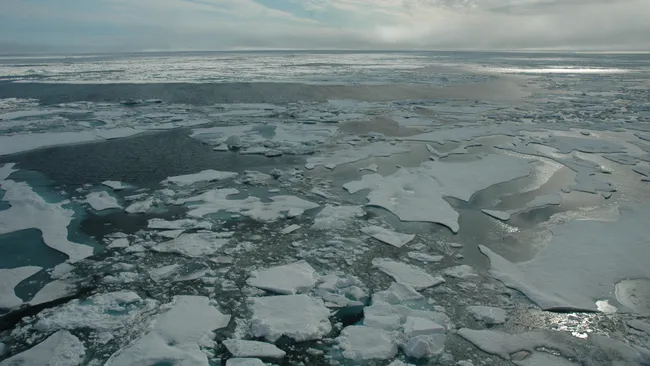 Arctic sea ice responds faster to atmospheric warming than ocean temperatures, according to historical sedimentary records that are based on the amount of cosmic dust on the floor of the Arctic Ocean. (Image credit: Bonnie Light/University of Washington)