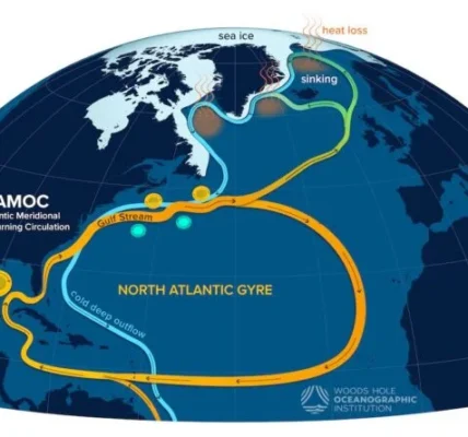 The AMOC (Woods Hole Oceanographic Institution)