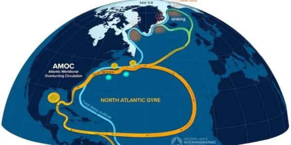 The AMOC (Woods Hole Oceanographic Institution)