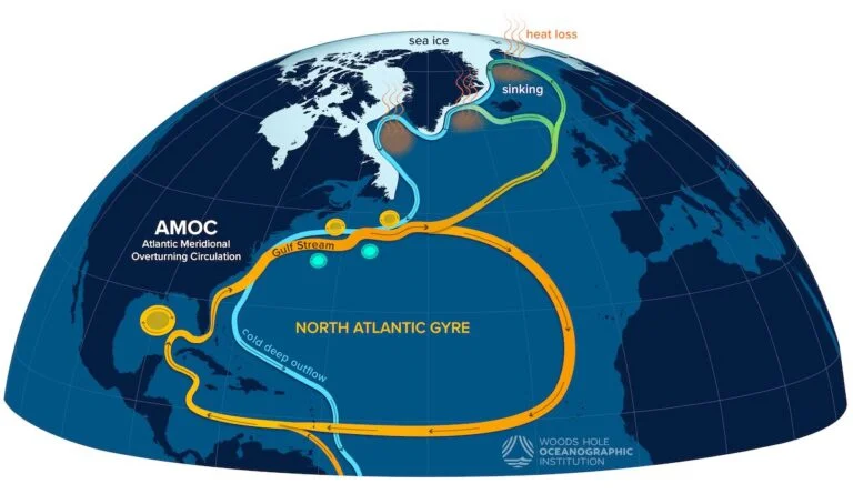 The AMOC (Woods Hole Oceanographic Institution)