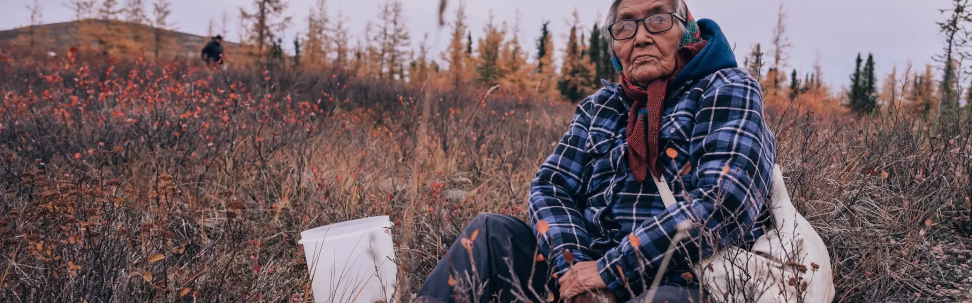 Gwich’in Elder Mary Snowshoe harvests traditional medicine during a traditional berry harvest camp held by the Department of Culture and Heritage. Credit: Aryln Charlie.