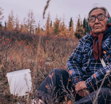 Gwich’in Elder Mary Snowshoe harvests traditional medicine during a traditional berry harvest camp held by the Department of Culture and Heritage. Credit: Aryln Charlie.
