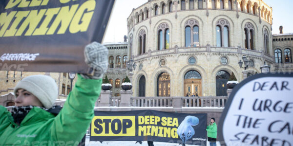 Credit line: © Will Rose / Greenpeace