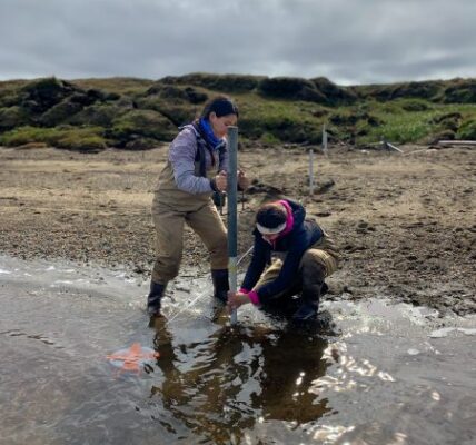 Micaela Pedrazas (left) and Cansu Demir (right) install a piezometer along the beach of Kaktovik Lagoon. Photo: Bayani Cardenas.