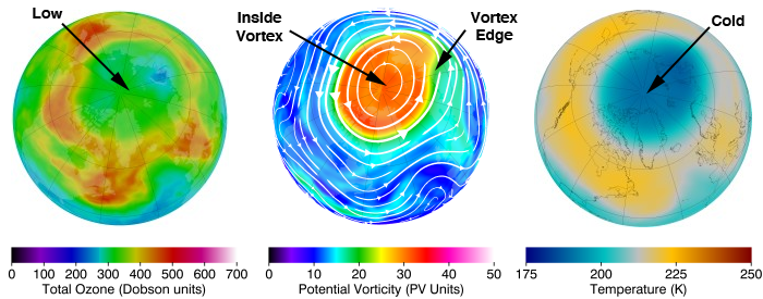 Northern hemisphere total column ozone, potential vorticity on the 460 K potential temperature surface, and temperature on the 50 hPa pressure surface for 22 February 2011. The white lines with arrows on the PV image are streamlines, where the thickness of the streamlines and the size of the arrows indicate the strength of the local flow. (NASA Ozone Watch)