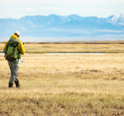 Header photo credit: Lisa Hupp/USFWS